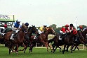 Ascot Renntag09   110